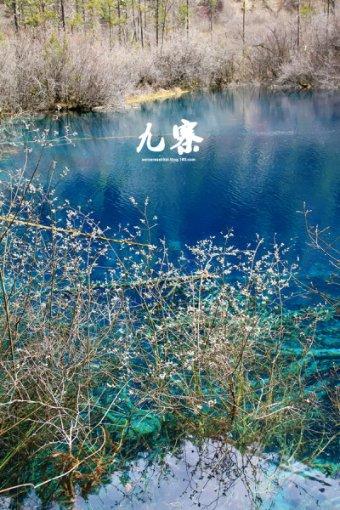 古代对家人的称呼都有哪些