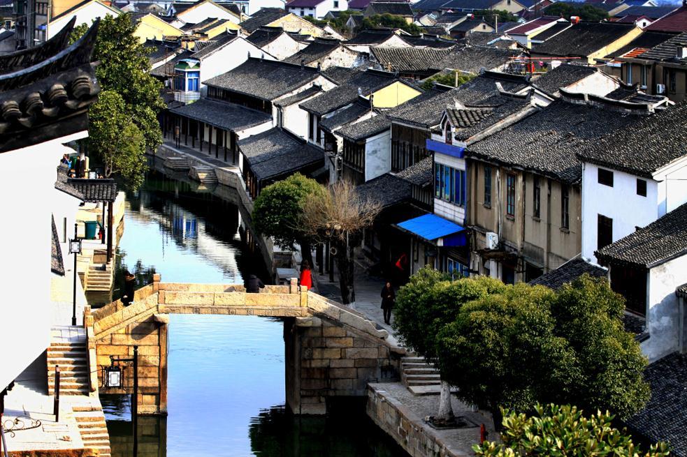 动物帮帮忙保卫家园